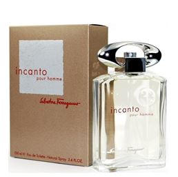 INCANTO POUR HOMME BY SALVATORE FERRAGAMO EAU DE TOILETTE HOMBRE 100ML - Perfumería Castillo de Francia